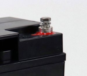 EcoLine - Batería AGM 12V - 20AH VRLA - 181 x 77 x167 - Batería de ciclo profundo